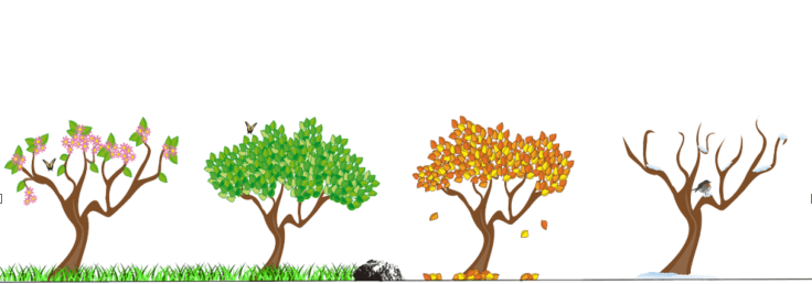Stock Market Timing does work its like the seasons of the year