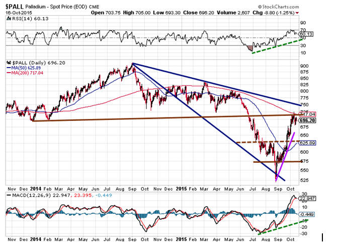 Palladium bulls getting ready to sprint 