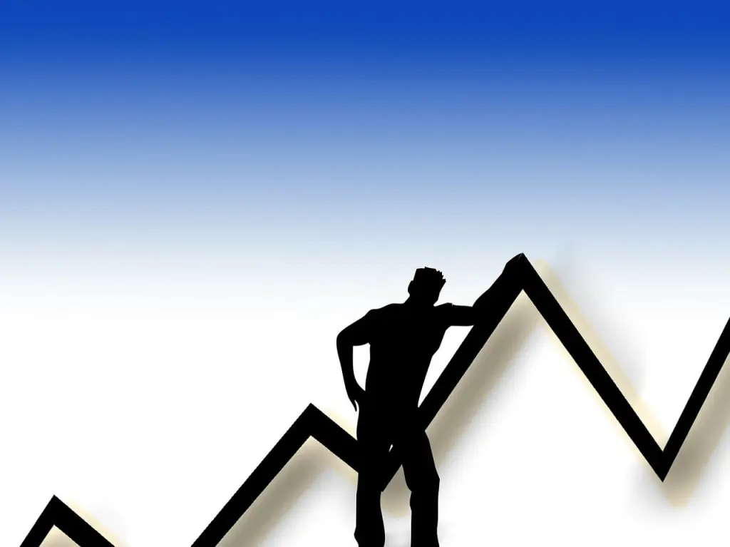 BBC Global 30 Index: Soar or sink 
