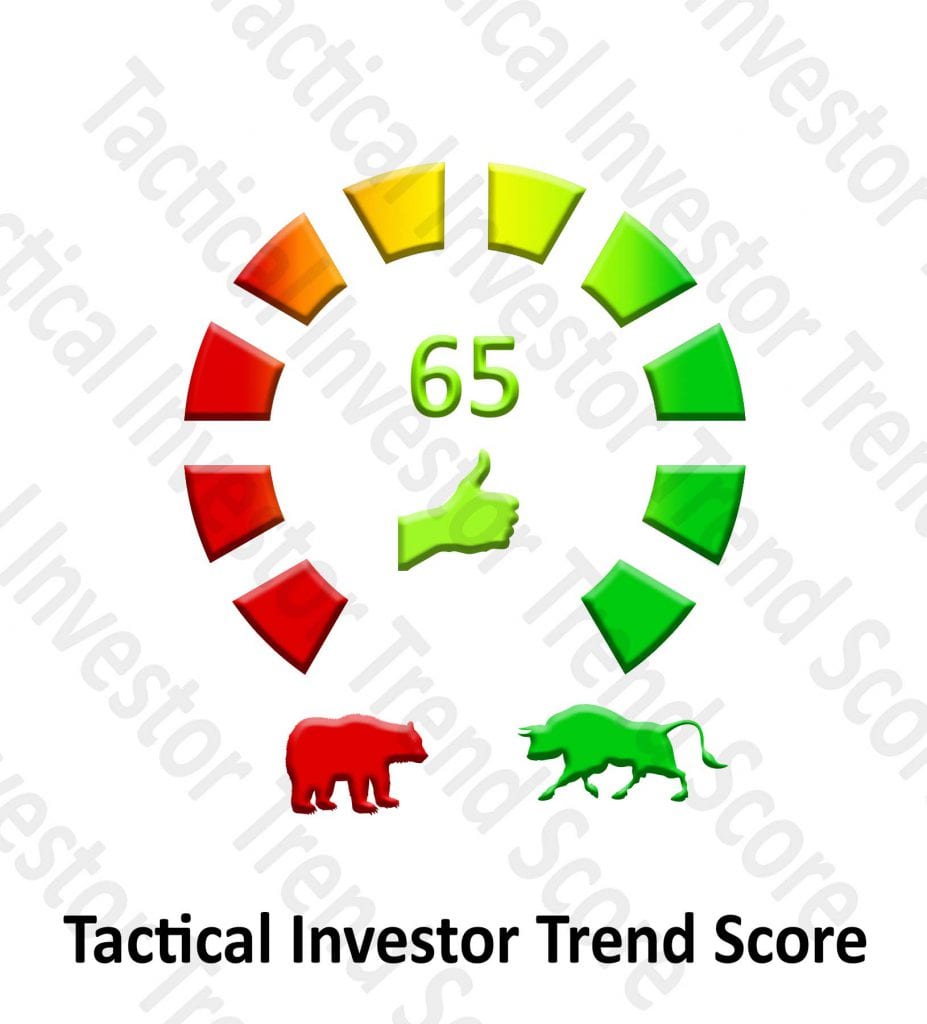 RTN Tactical Investor Trend Score