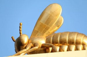 Decoding the Enigma: What Are Gold Bugs & what drives them
