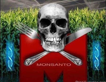 Russian Bans GMO 