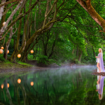 How did the COVID-19 pandemic reshape investor risk behavior?