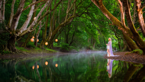 How did the COVID-19 pandemic reshape investor risk behavior?