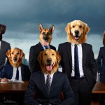 Analyzing the Current Dogs of the Dow