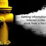 trading psychology, focus on the facts not rubbish
