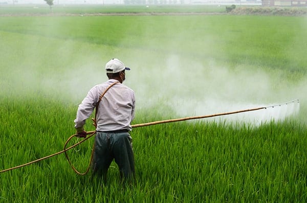 Study linking herbicide to serious disease fuels debate