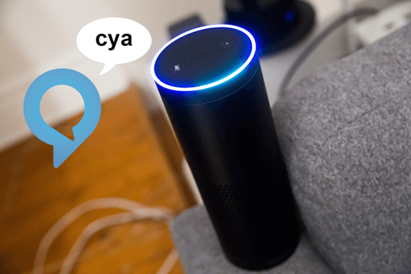 Alexa APP Software