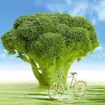 Budget-Friendly Supplements To Reduce Blood Sugar