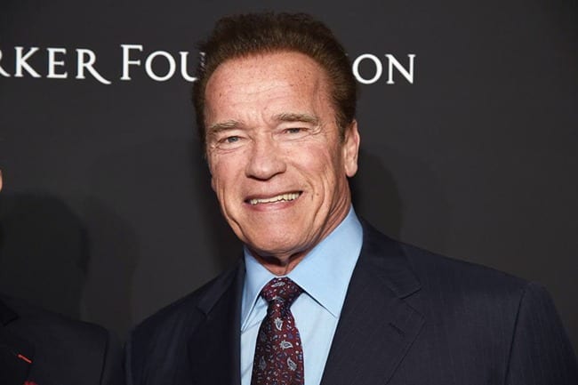 Ex-Schwarzenegger Adviser Arrested in Trafficking Sweep