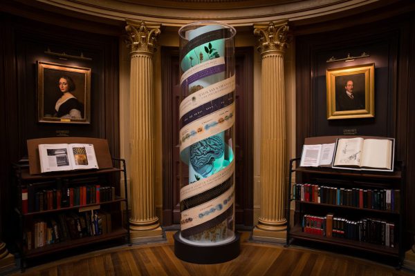 Top Recommendations for Every Evolutionary Psychology Book Enthusiast