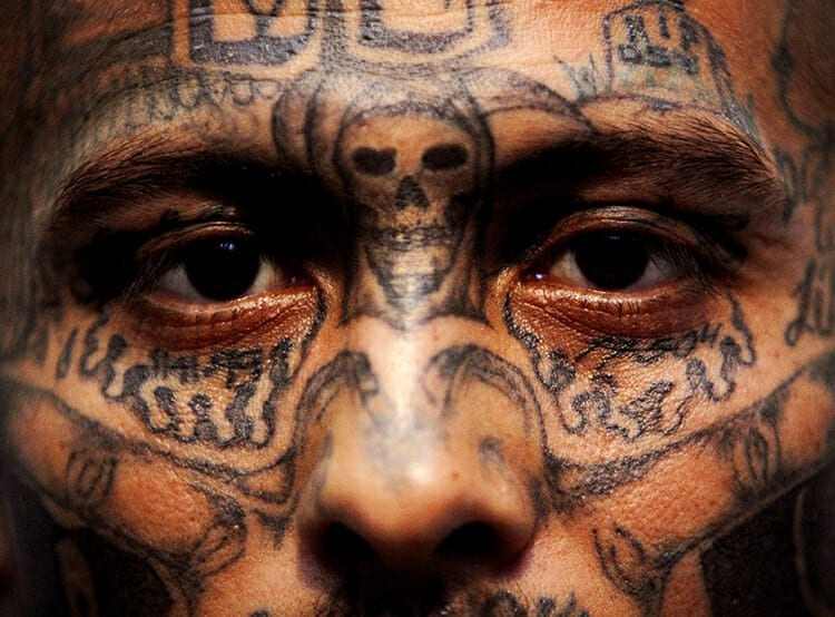 "Love in the Crossfire: Millennials' Choice Between an MS-13 Gang Member and a Trump Supporter"