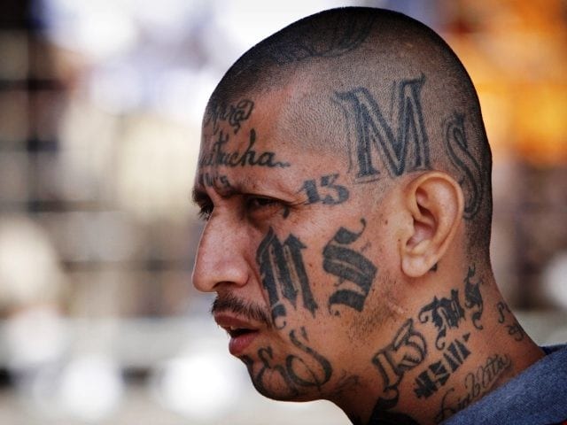 MS 13 is running rampant in California