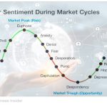 investor sentiment