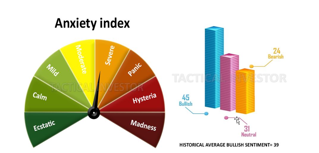 sentiment investing Jan 2021 outlook 