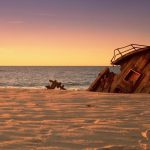 learn from stock market crashes in history