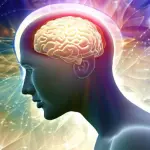 Food for thought Archives