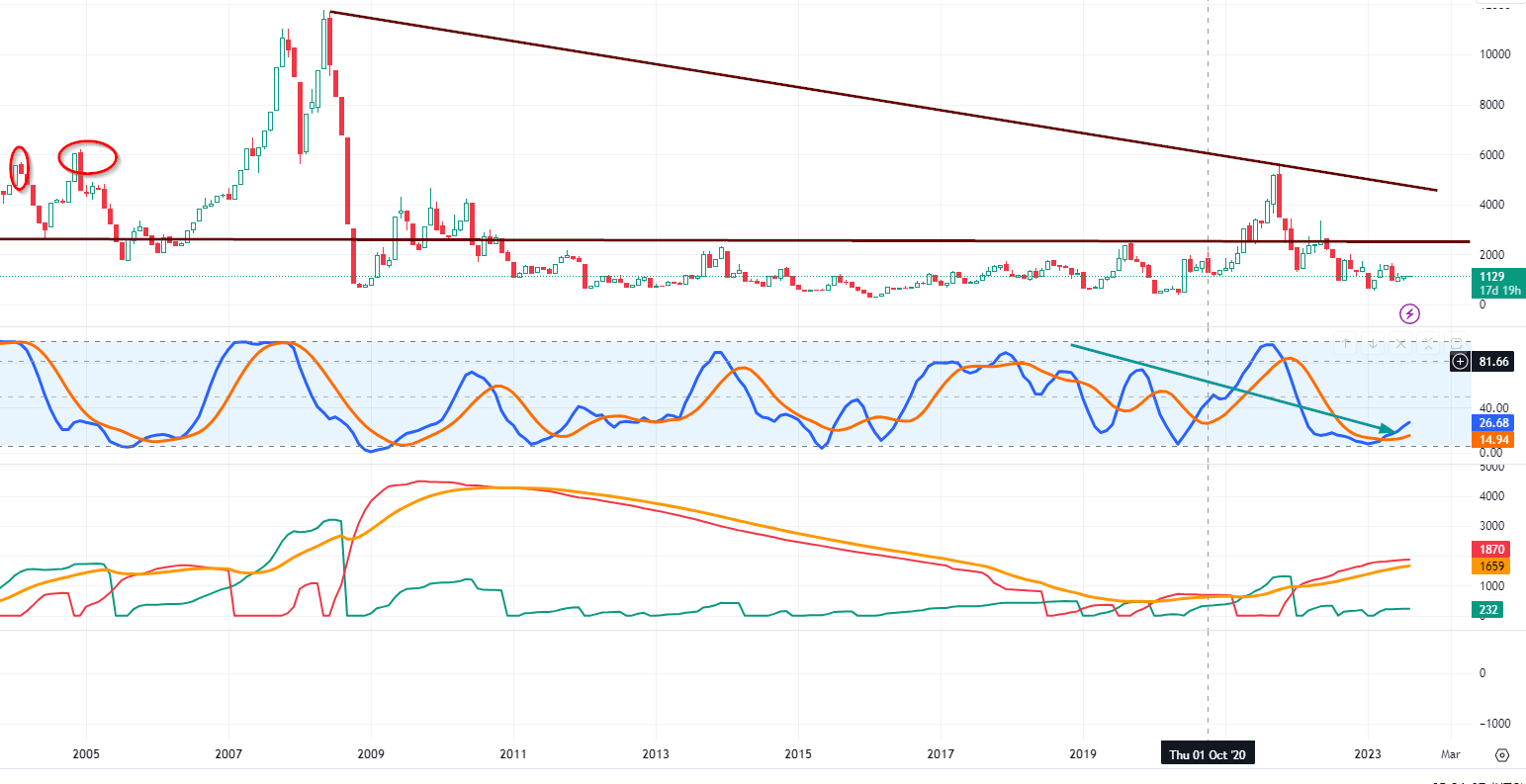 BDI shows that despite Investor Sentiment Skew: Long-Term Bullish Outlook
