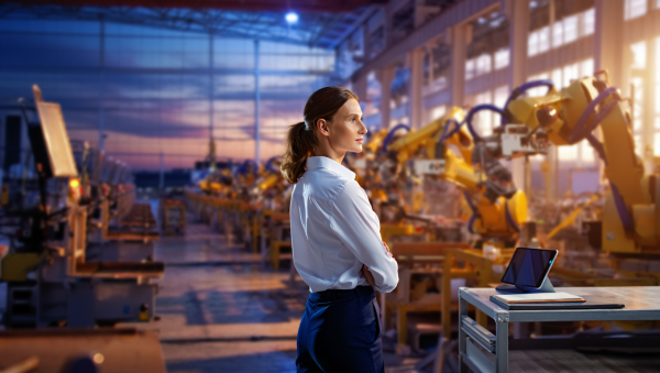 The Great Cull: Automation Layoffs, Hollowed Middles, and How to Exit the Average