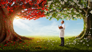 Nicholas Merten: The Altcoin Whisperer