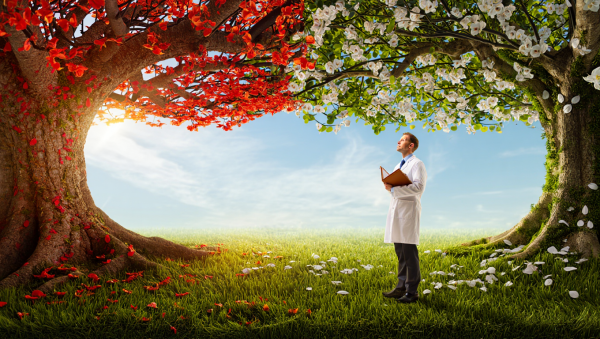 Nicholas Merten: The Altcoin Whisperer