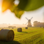 Global Resource Remobilisation: How Collapsing Trust Is Rewiring Power and Capital in 2026