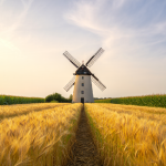 Roth IRA vs Traditional IRA: How to Choose the Right One for 2026