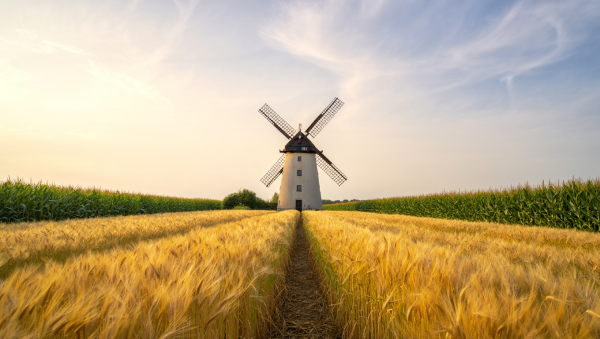 Roth IRA vs Traditional IRA: How to Choose the Right One for 2026