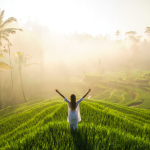 Stock Exit Strategy: Why Most Traders Lose After They’re Right