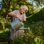 Capital Flows Explained